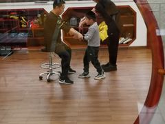 -温鉴良实用咏春拳