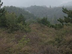 -紫荆关