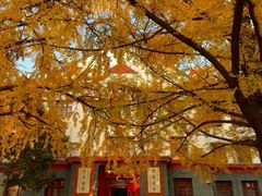 -四川大学(望江校区)