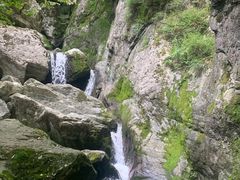 -牛背梁国家森林公园
