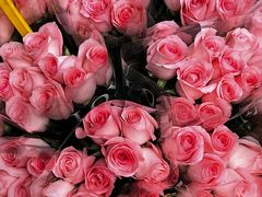 -循礼门鲜花花市(武汉循礼门店)