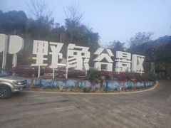 -野象谷景区