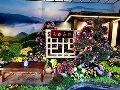 -杭州植物园