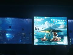 -重庆欢乐海底世界