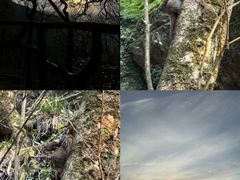 -萍乡武功山风景名胜区