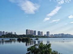 -飞来湖湿地公园