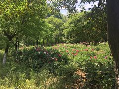 -幕燕滨江·长江观音景区