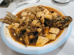 -煲来饱去冷水鱼