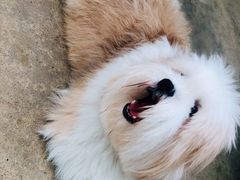-TrueLove @ Neverland (Husky Cafe)