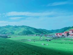 -关山草原