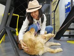 -菠萝格斗巴西柔术训练馆