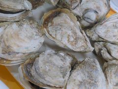-蚝专家(北滘店)