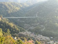 -广东天露山旅游度假区