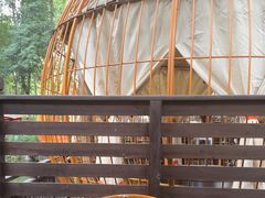 -二荆条·蜀鲜汇城市森林火锅