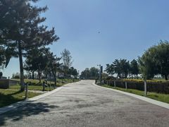 -莫子山公园