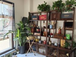 -森林香愈芳疗SPA·青春几何美容中心413