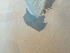 -春满园·早茶·粤菜·宴会(前海店)