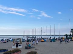 -碧海金沙