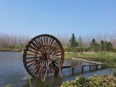 -合肥滨湖国家森林公园