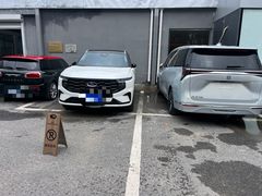 -XPEL旗舰店·汽车贴膜·隐形车衣·改色贴膜