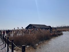 -盐城丹顶鹤湿地生态旅游区