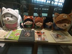零售区-柴务处·柴犬主题狗咖