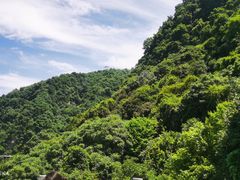 -少华山国家森林公园