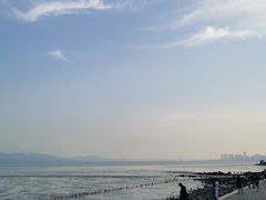 -深圳湾公园(南山区)