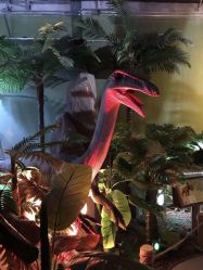 -恐龙探索乐园(磁器口店)