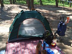 -长春市南湖公园