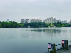 -荔湾湖公园