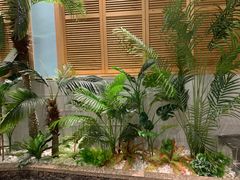 -春润大地海南椰子鸡(沙井京基百纳广场店)
