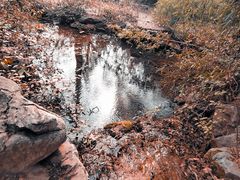 -四门塔风景区