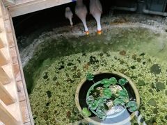 -锦上中式酒馆(南内环店)
