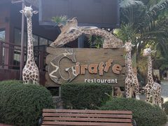 -清迈夜间动物园