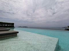 -瑰丽酒店·海吧·天际下午茶·现场DJ·天台酒吧