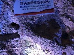 -北京周口店北京人遗址博物馆