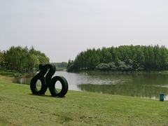 -贡湖湾湿地公园