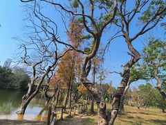 -香山湖公园