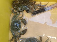 -蟹天蟹地农家菜·阳澄湖大闸蟹(浅水湾店)