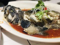 -T11生鲜超市(朝阳公园店)