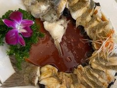 清蒸鲜鲈鱼-博雅渔港·融合菜(维也纳国际大酒店)