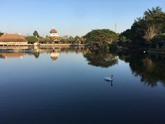 -清迈夜间动物园