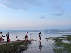-洱海月湿地公园