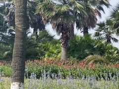 -瑶湖郊野森林公园