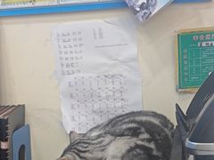 -全心全意连锁动物医院·微创中心·内科急重症·心脏专科(丰管路店)