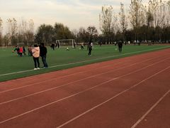 -五环公园