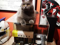 -花与咖啡馆(金星楼店)