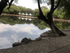 -青城公园