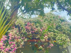 -深圳国际园林花卉博览园